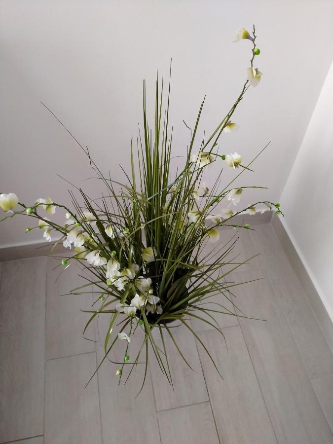 Apartman Avsec Krk Town Luaran gambar
